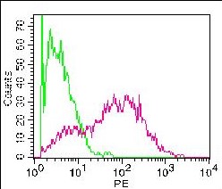 Monoclonal Antibody to Mouse TIGIT (Clone: 1G9)